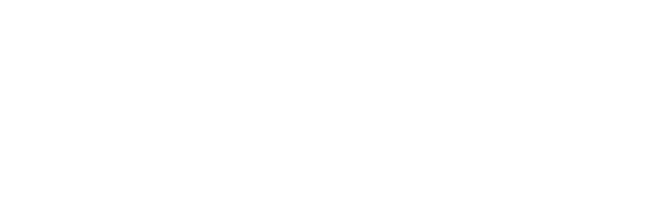 Perfit Main logo